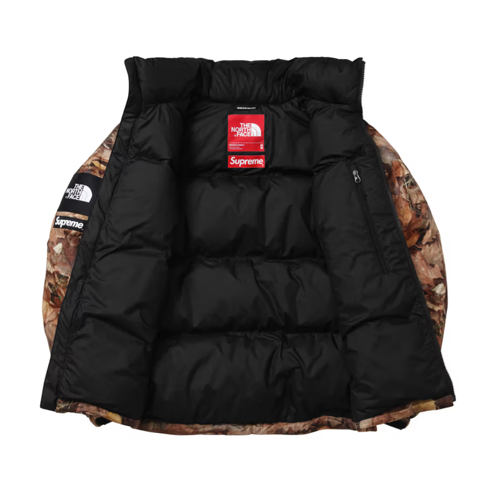 Supreme x The North Face 2016 Fall/Winter Nuptse Jacket