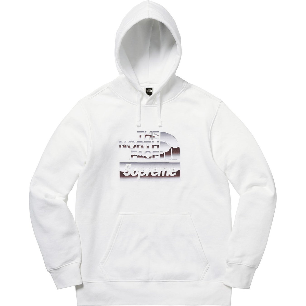 Supreme®/The North Face® 18FW Metallic Logo Hooded Sweatshirt