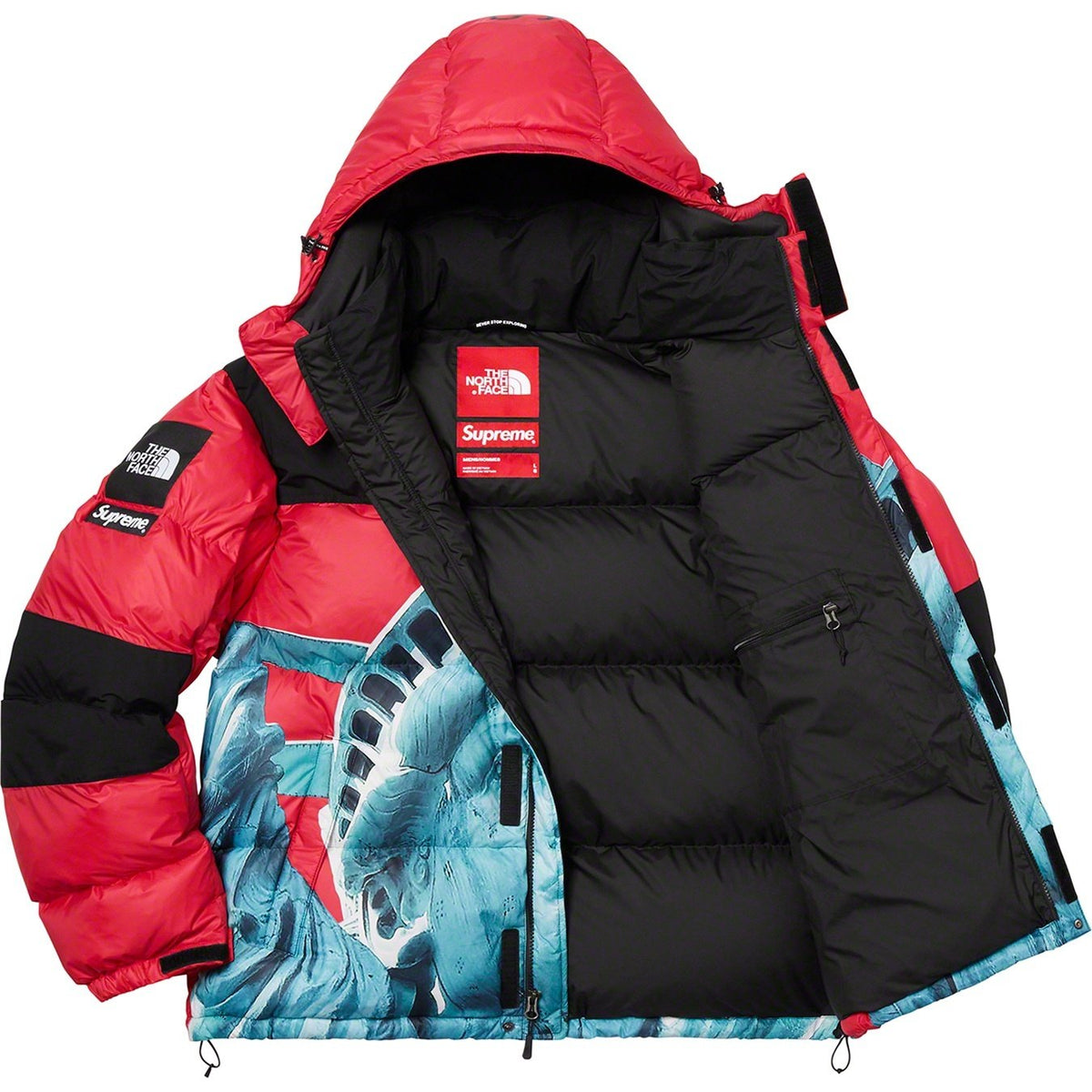 【希少】Supreme®/The North Face® Statue of Liberty Baltoro Jacket
