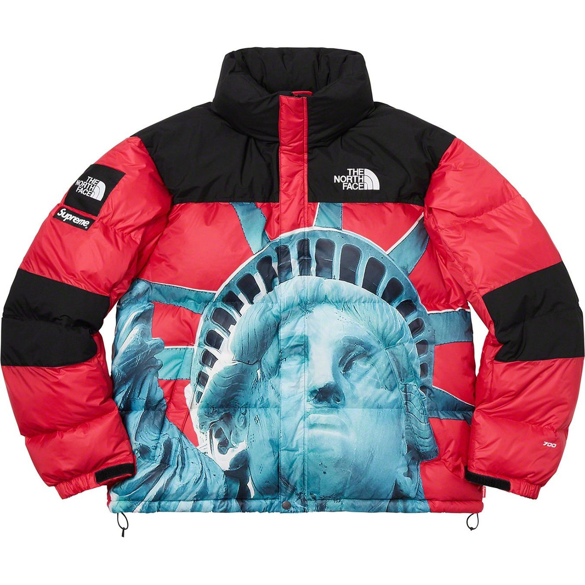 【希少】Supreme®/The North Face® Statue of Liberty Baltoro Jacket