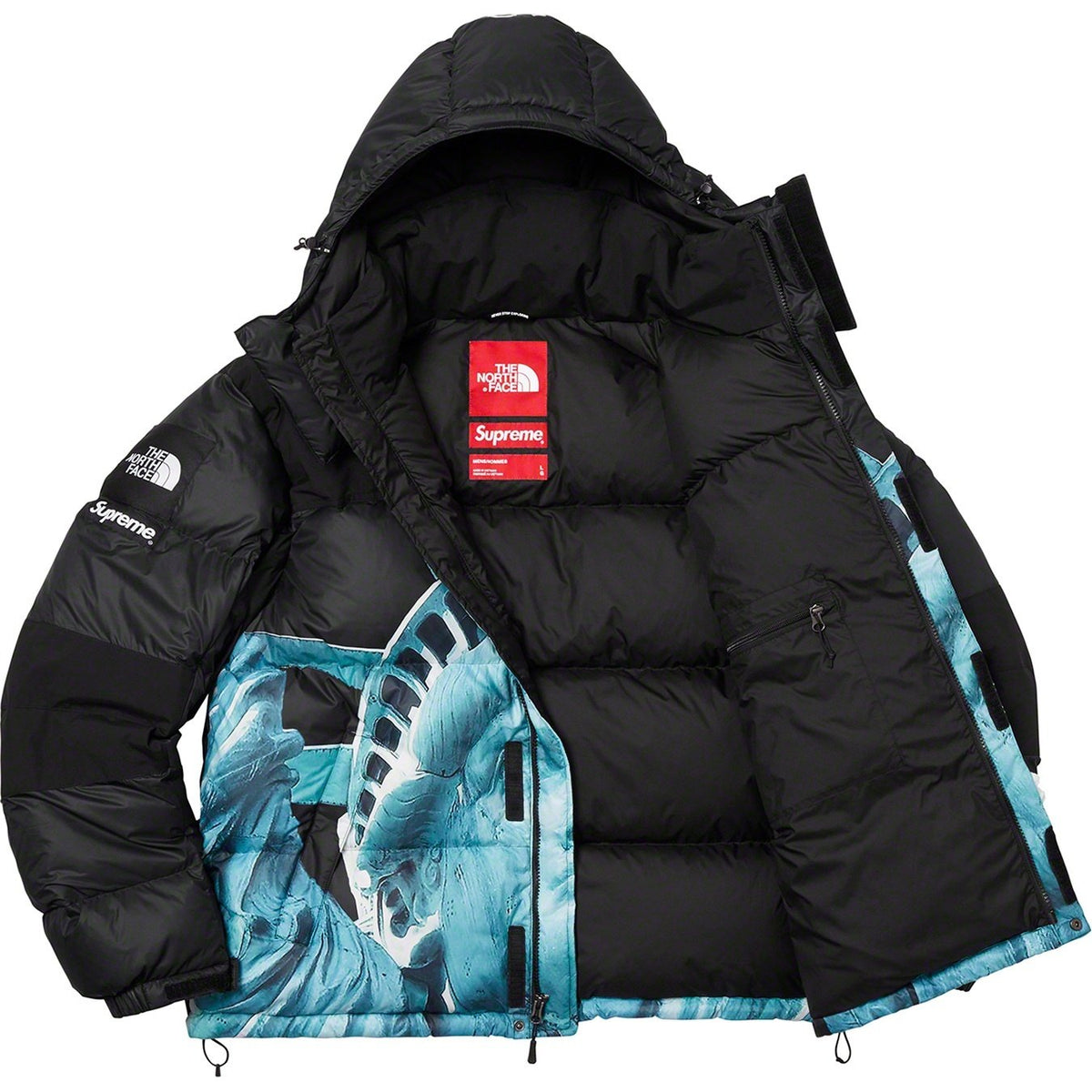 【希少】Supreme®/The North Face® Statue of Liberty Baltoro Jacket