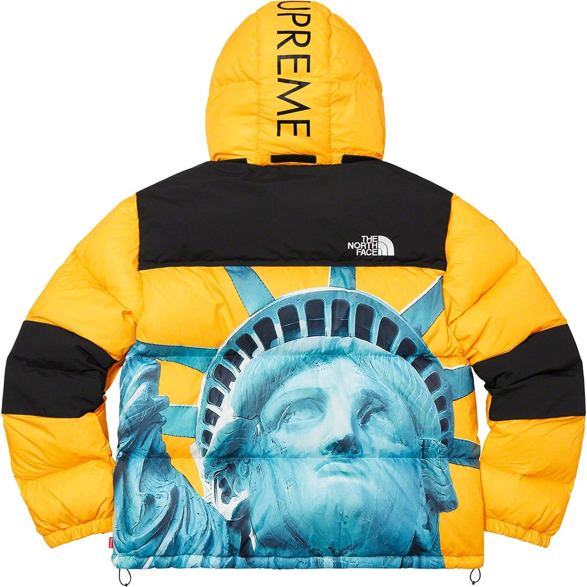 【希少】Supreme®/The North Face® Statue of Liberty Baltoro Jacket