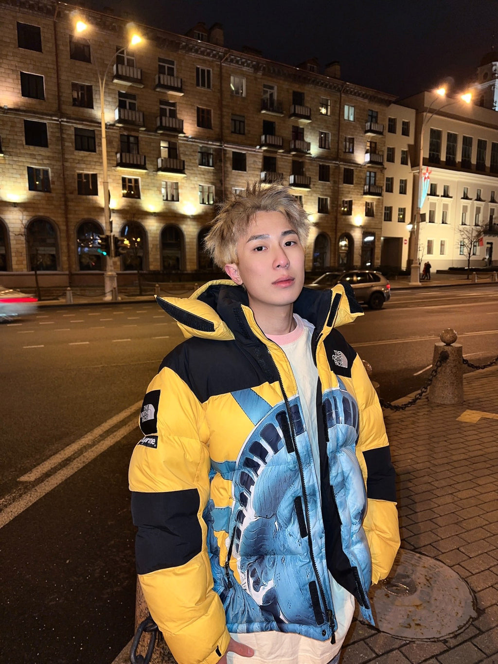 【希少】Supreme®/The North Face® Statue of Liberty Baltoro Jacket