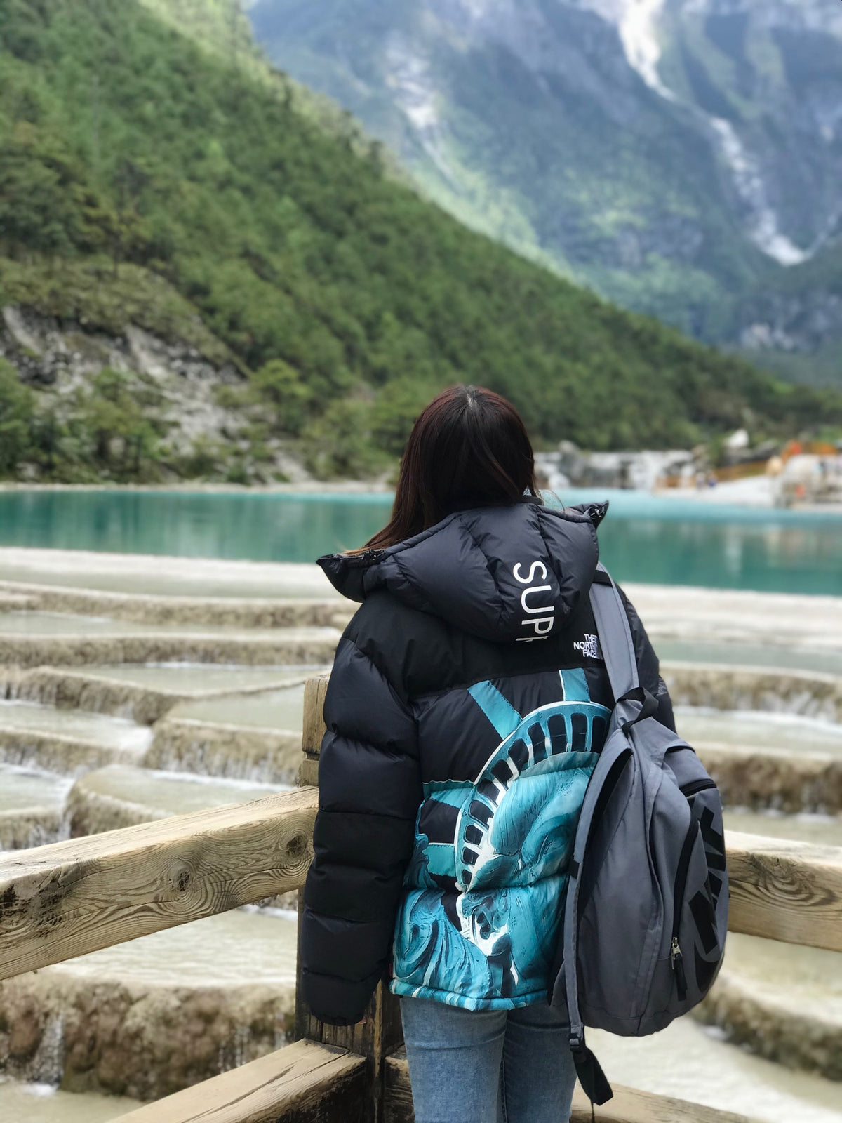 【希少】Supreme®/The North Face® Statue of Liberty Baltoro Jacket