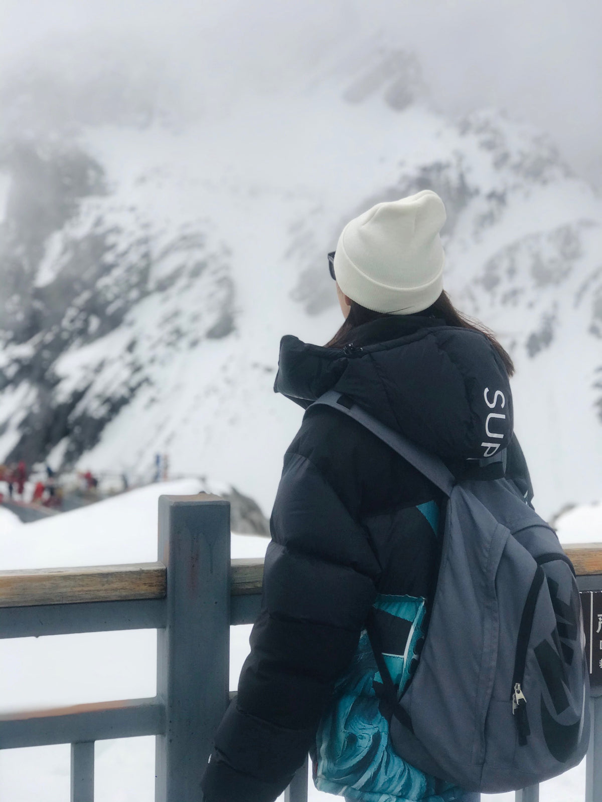 【希少】Supreme®/The North Face® Statue of Liberty Baltoro Jacket