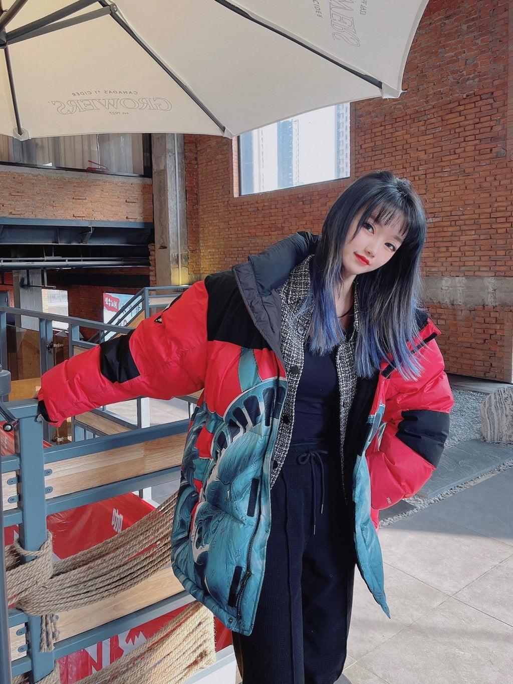 【希少】Supreme®/The North Face® Statue of Liberty Baltoro Jacket