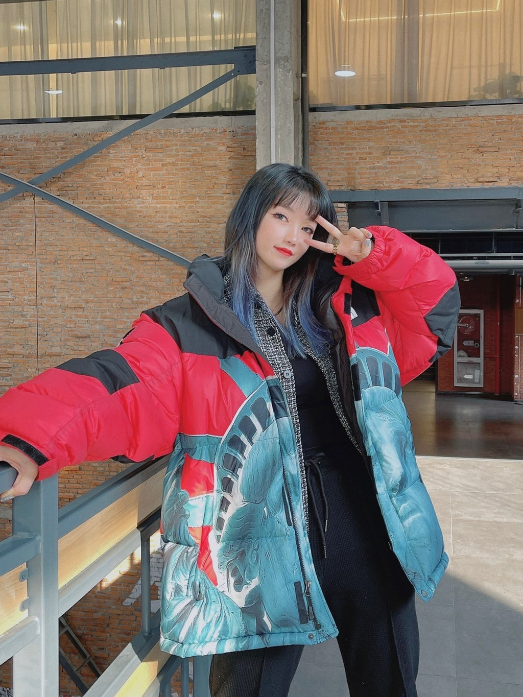 【希少】Supreme®/The North Face® Statue of Liberty Baltoro Jacket