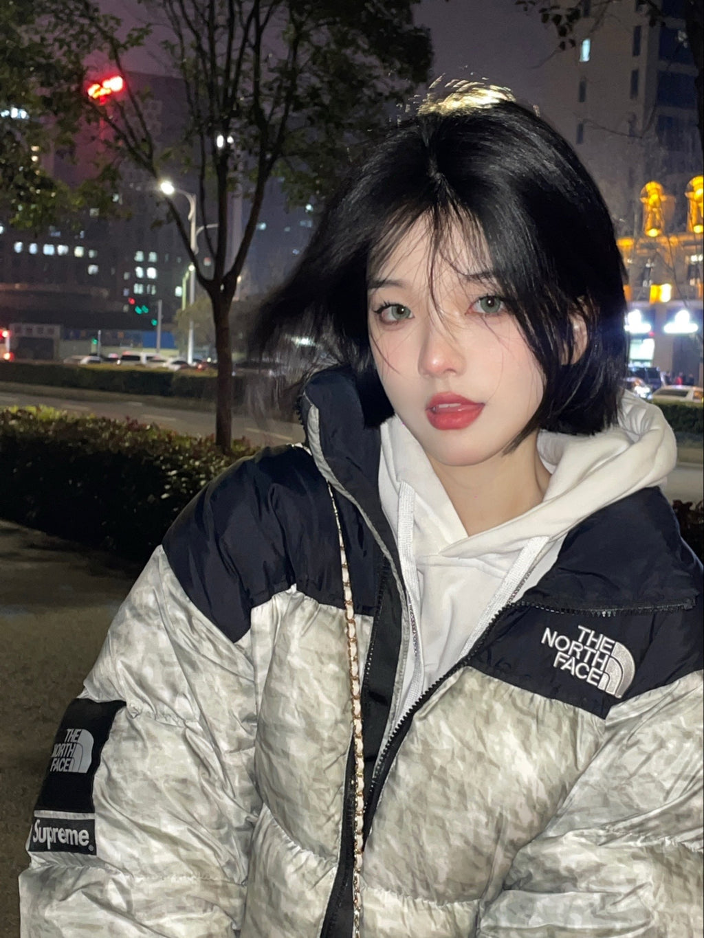 Supreme®/The North Face® Paper Print Nuptse Jacket