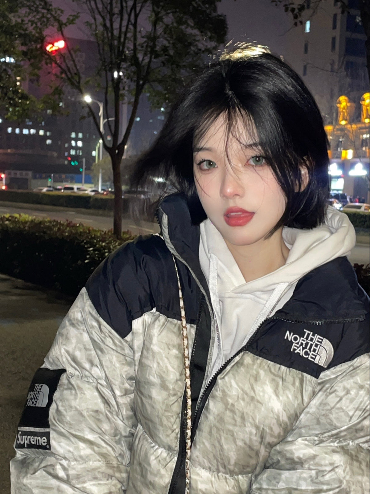 Supreme®/The North Face® Paper Print Nuptse Jacket