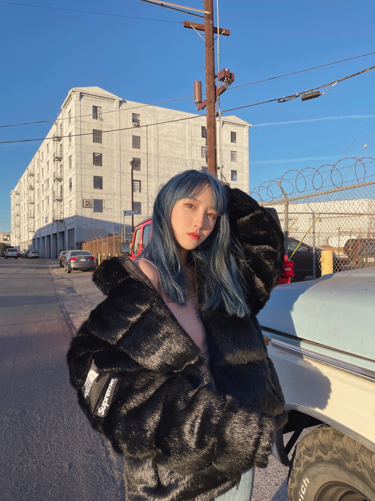 Supreme®/The North Face® Faux Fur Nuptse Jacket
