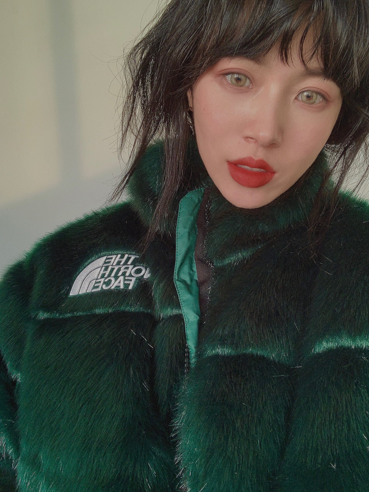 Supreme®/The North Face® Faux Fur Nuptse Jacket