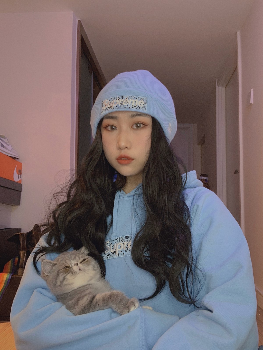 Supreme 19FW Bandana Box Logo Hooded Sweatshirt