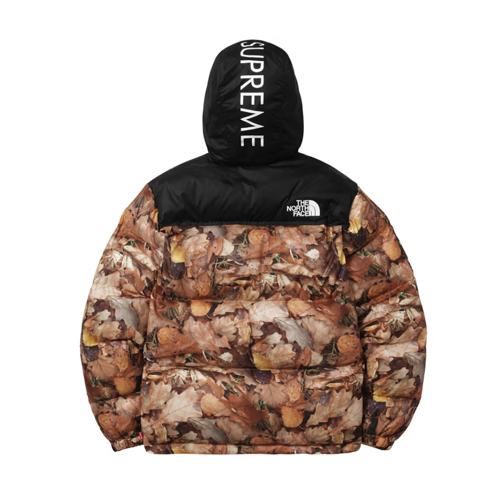 Supreme x The North Face 2016 Fall/Winter Nuptse Jacket