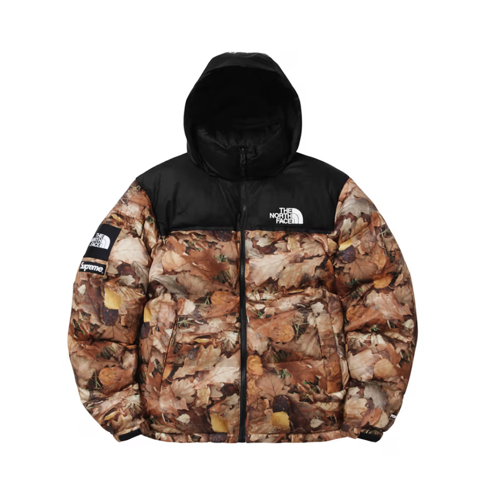 Supreme x The North Face 2016 Fall/Winter Nuptse Jacket