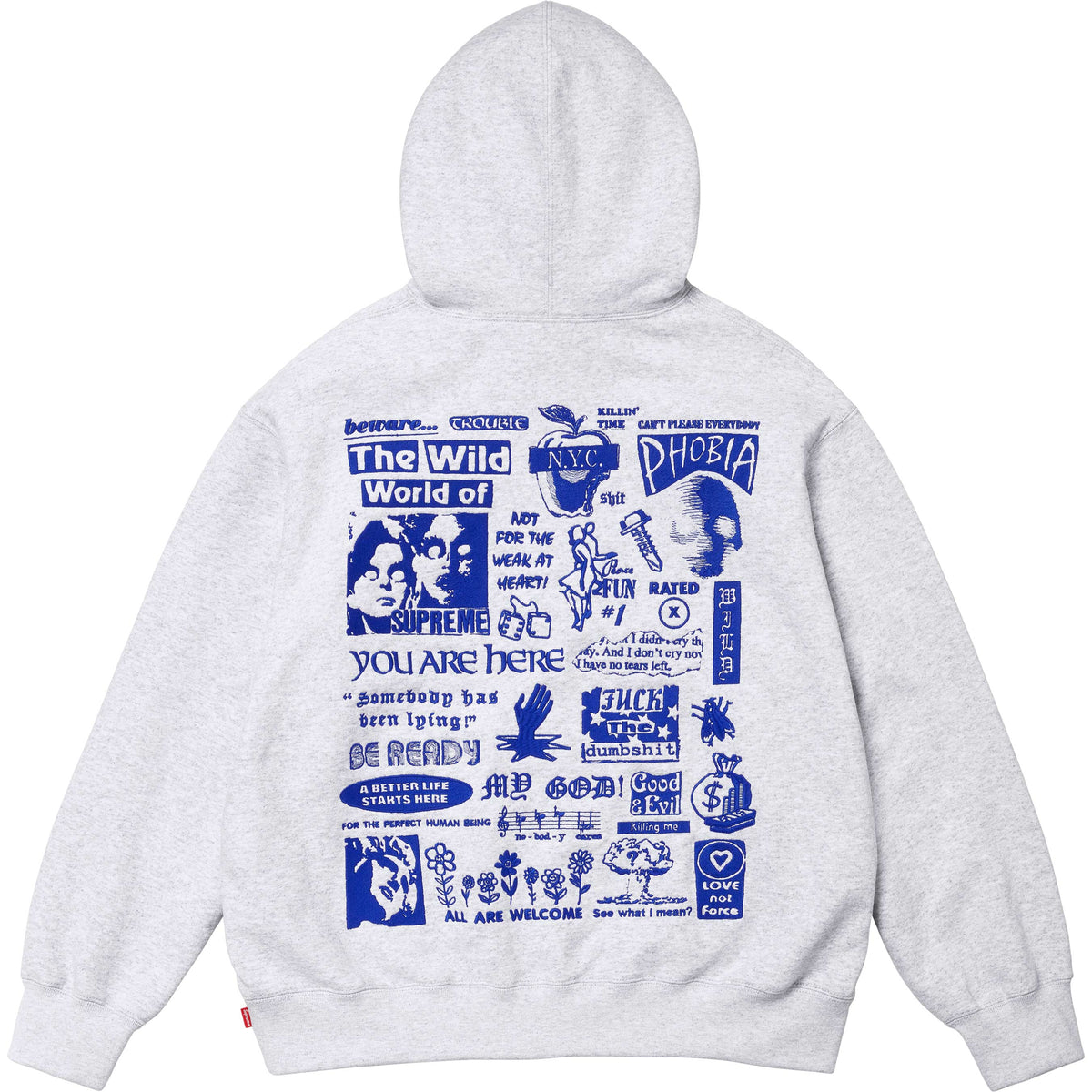 Wild Embroidered Hooded Sweatshirt