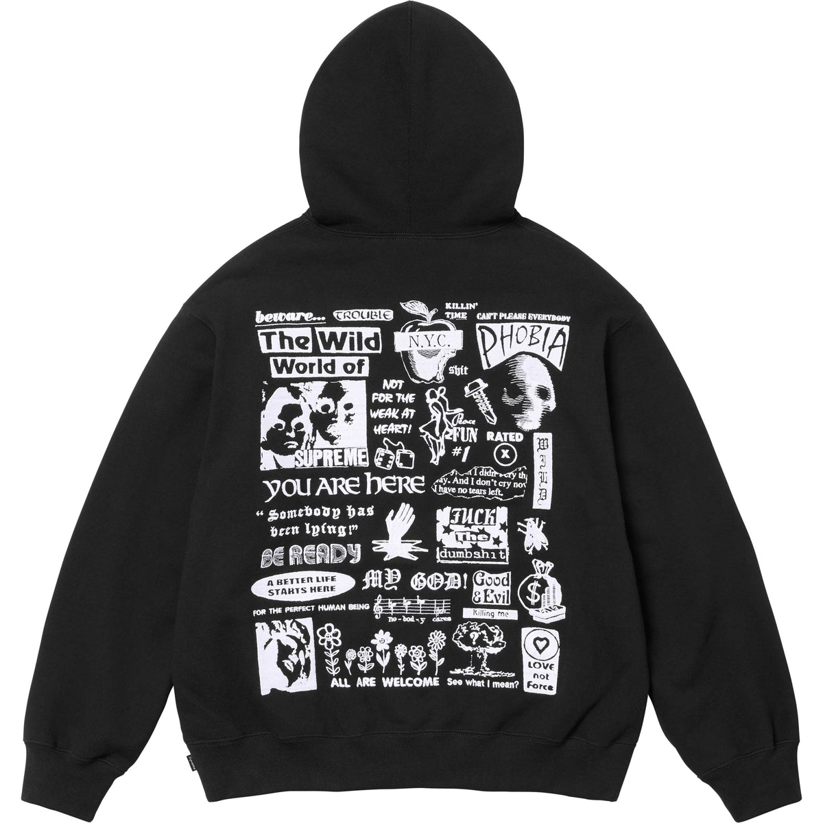Wild Embroidered Hooded Sweatshirt